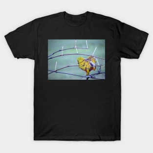 Grape stems & one leaf left T-Shirt